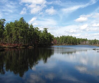 deep_run_in_wharton_state_forest