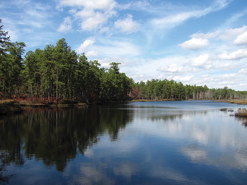 Deep Run in Wharton State Forest. Photograph courtesy of the New Jersey Pinelands Commission.