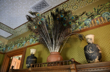 Aesthetic Movement Peacock Feathers closeup (5) copy