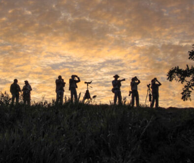 Birders_in_September_atop_the_Higbee_Dike_waiting_for_birds_to_emerge_from_the_sky_and_the_woods_in_what_weve_dubbed_Morning_Flight___David_La_Puma