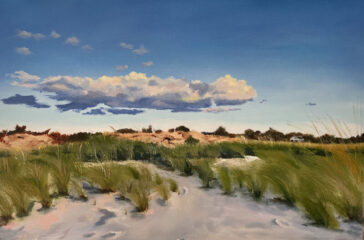 Karen Calastri dune image