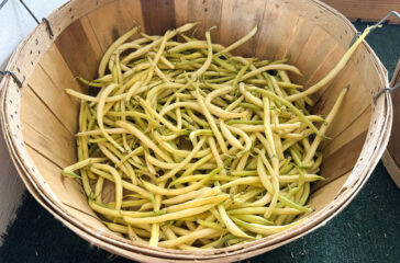 Yellow Wax Beans at Duckies copy