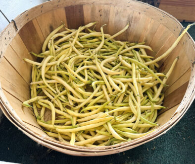 Yellow Wax Beans at Duckies copy