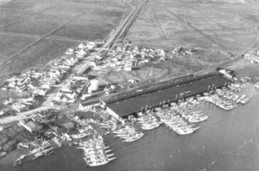 The Oyster Shuckers: A Unique Maritime History