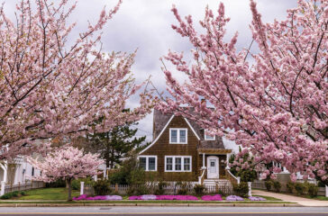 cape may magazine spring 2022 parting shot framed by pink laura thistle feature