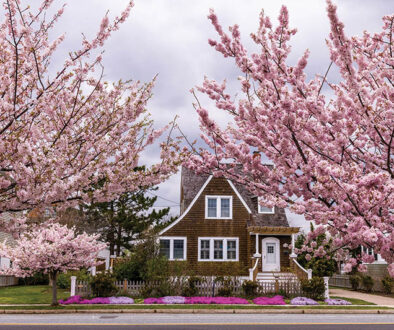 cape may magazine spring 2022 parting shot framed by pink laura thistle feature