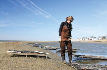 cape may salts