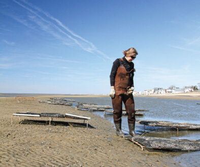 cape may salts