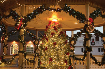 gazebo with tree copy gazebo with tree copy