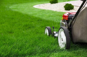 a lawn mover on thick green grass