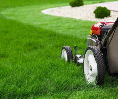 a lawn mover on thick green grass