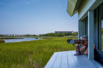 opening shot opening shot