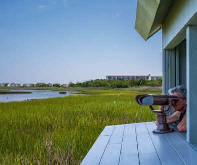 opening shot opening shot