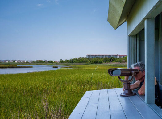 opening shot opening shot