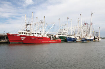 scalloping