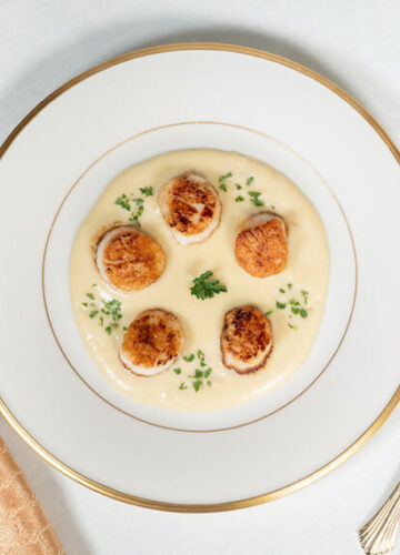 scallops scallops