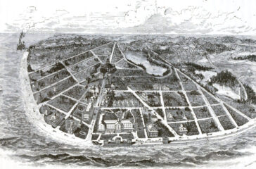 sea grove illustration again