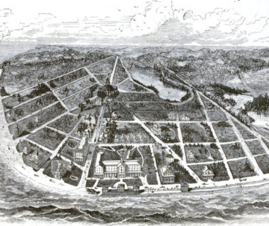 sea grove illustration again