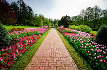 Longwood,Gardens