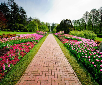 Longwood,Gardens